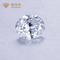 1ct-10ctは実験室の育てられたダイヤモンドの白いポーランドのダイヤモンドを証明した